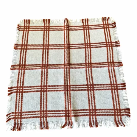 serviette-Photoroom copie